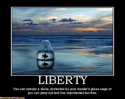 liberty 01